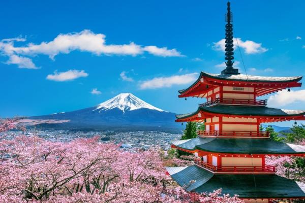 Image by tawatchai07 on Freepik