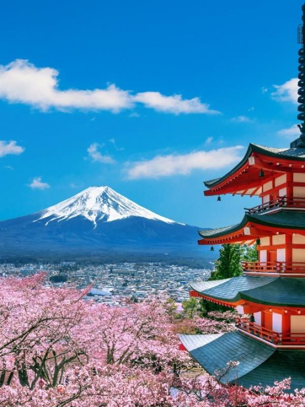 Image by tawatchai07 on Freepik