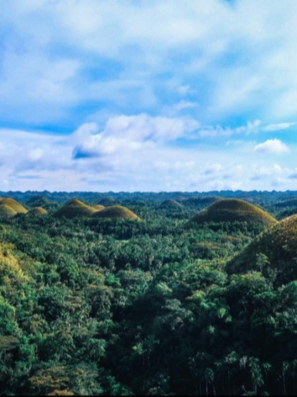 Photo by Hitoshi Namura on Unsplash