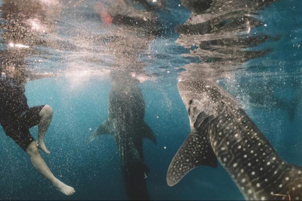 Photo by Cameron Armstrong on Unsplash