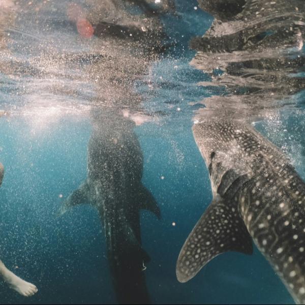 Photo by Cameron Armstrong on Unsplash