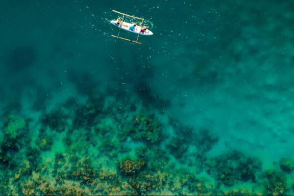 Photo by Jules Bassoleil on Unsplash