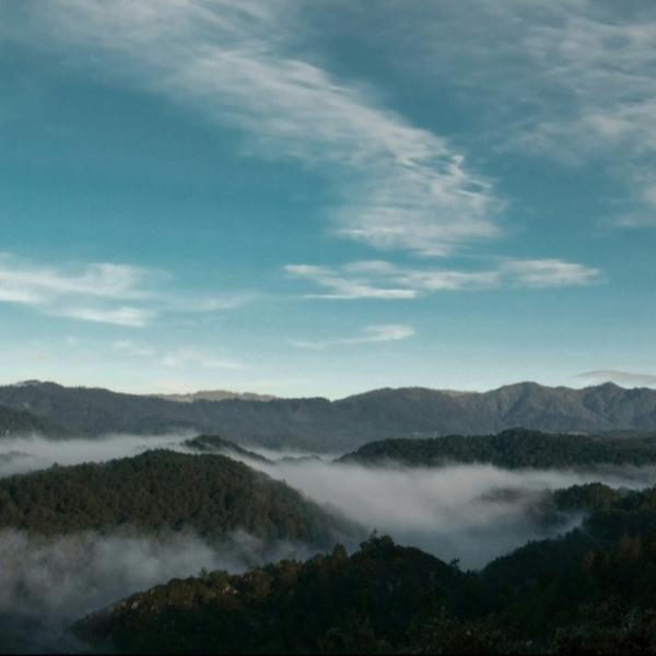 Photo by Ruby Jane Motilla on Unsplash